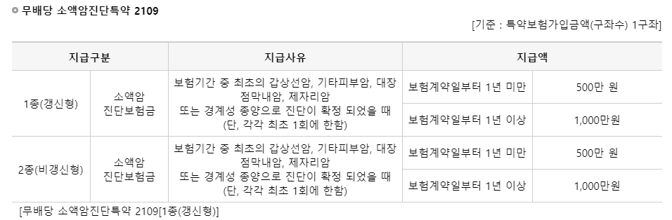 소액암진단특약