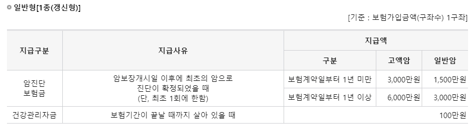 일반형 보장내금액