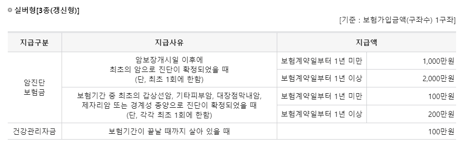 실버형 보장내용
